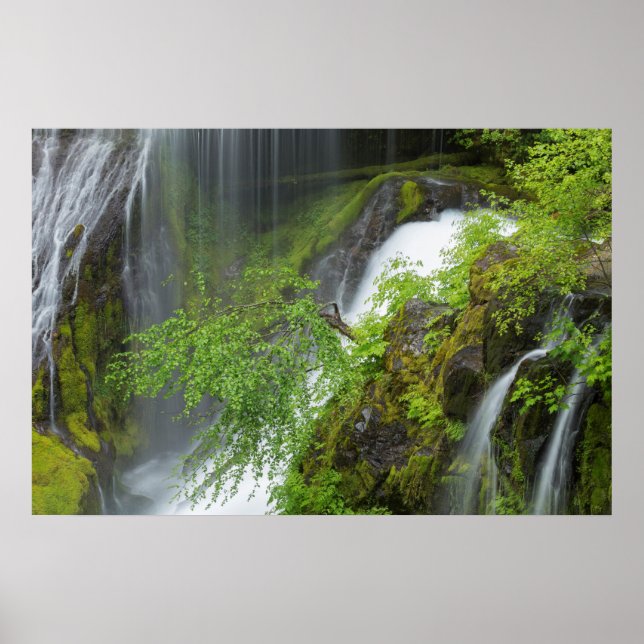 Grüner Wasserfall Landschaft Poster (Vorne)