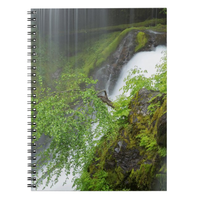 Grüner Wasserfall Landschaftlich Notizblock (Vorderseite)