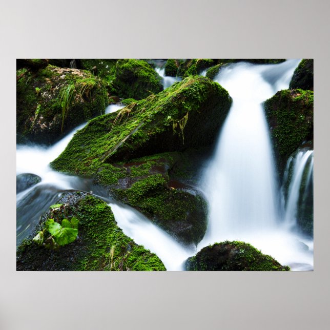 Grüner Wasserfall Poster (Vorne)