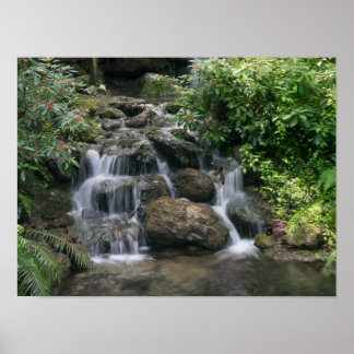 Grüner Wasserfall Poster