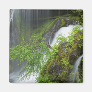 Grüner Wasserfall Scenic Magnet