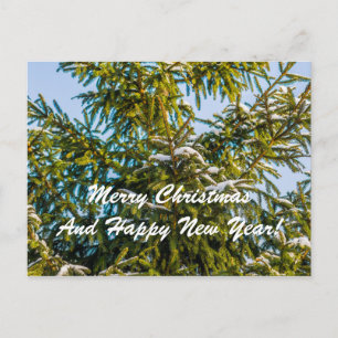 Grüner Weihnachtsbaum im Schnee Feiertagspostkarte