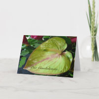 Grünes Anthurium Herz Tropische Blume Beileid