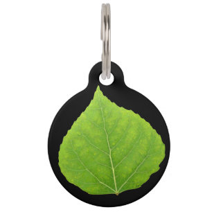 Grünes Aspen-Blatt #11 Haustiermarke