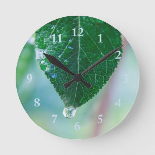 Grünes Blatt auf Pastell-Wanduhr Runde Wanduhr