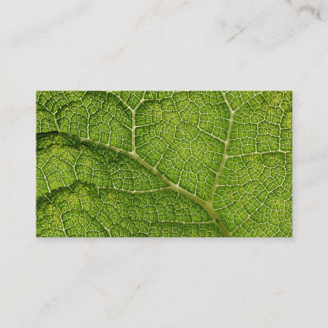 Grünes Blatt. Digital Art. Visitenkarte (Vorderseite)