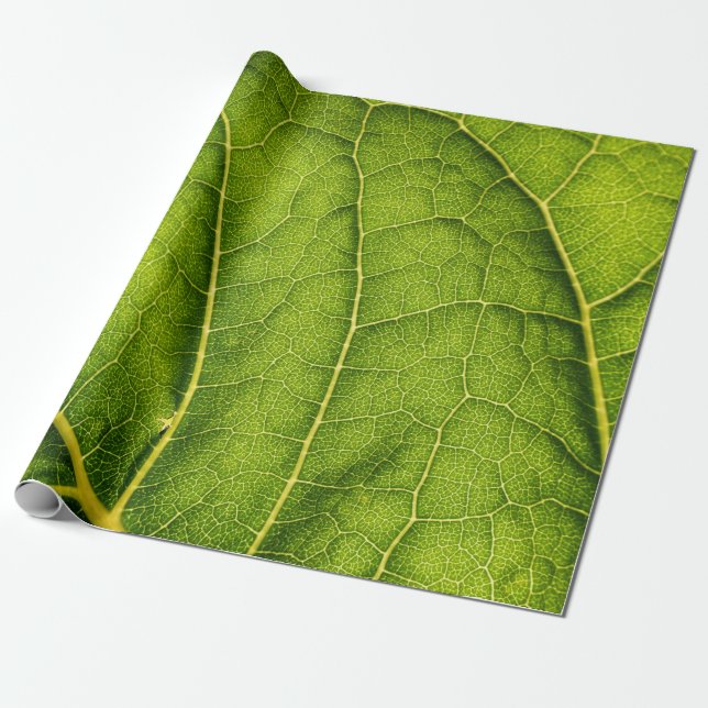 Grünes Blatt Geschenkpapier (Ungerollt)