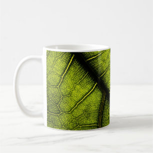 Grünes Blatt in nah-up Fotografie Kaffeetasse