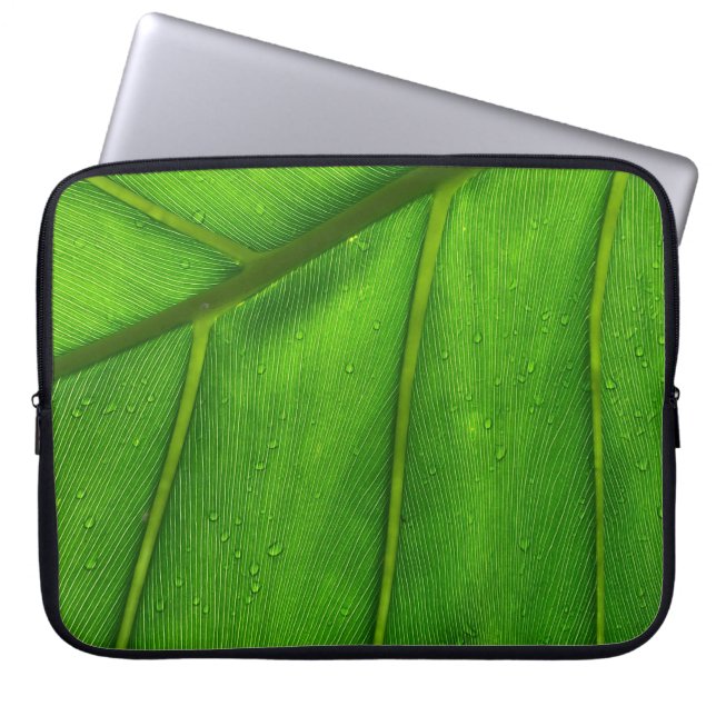 Grünes Blatt Laptopschutzhülle (Vorderseite)