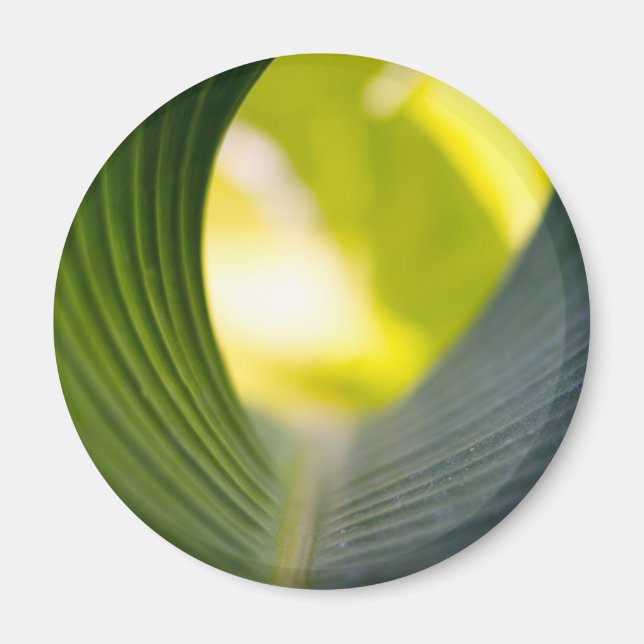 Grünes Blatt Magnet (Vorne)