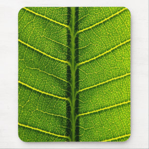 Grünes Blatt Mousepad