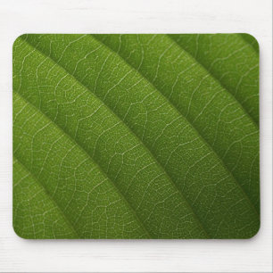 Grünes Blatt Mousepad