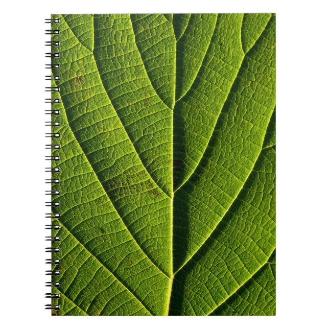 Grünes Blatt Notizblock (Vorderseite)