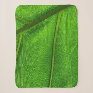 Grünes Blatt Sherpadecke