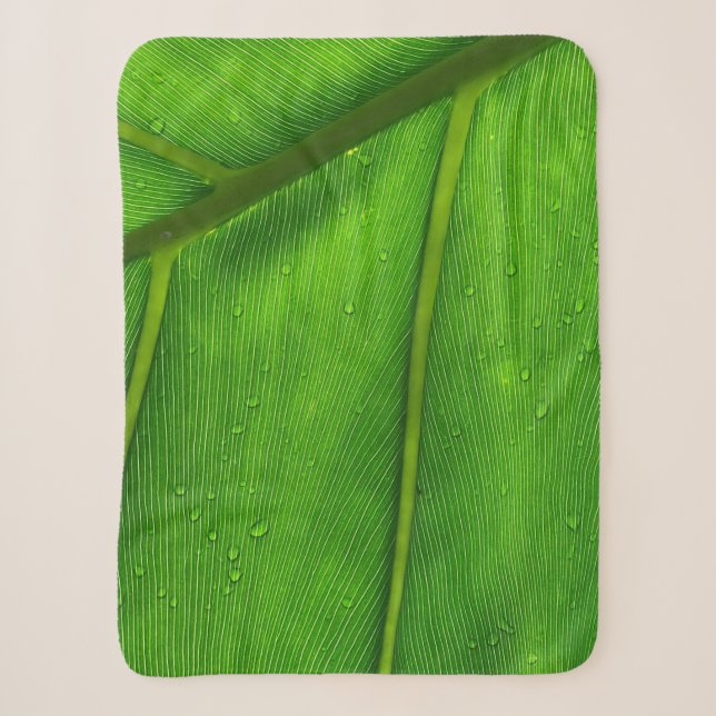 Grünes Blatt Sherpadecke (Vorderseite)