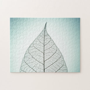 Grünes Blatt-Skelett
