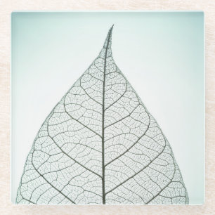 Grünes Blatt-Skelett Glasuntersetzer