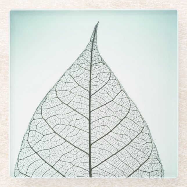 Grünes Blatt-Skelett Glasuntersetzer (Vorderseite)