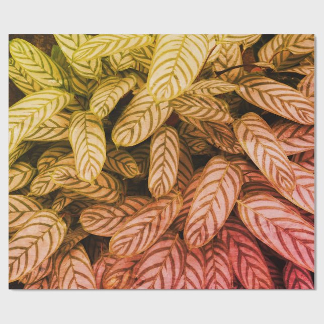 Grünes botanisches Blattmuster-Wrap-Papier Geschenkpapier (Flach)