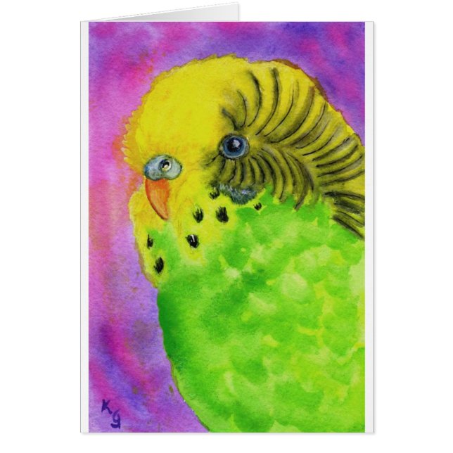 Grünes Budgie (Vorne)