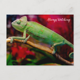 Grünes Chamäleon auf dem Ast Postkarte