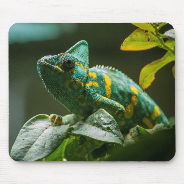 Grünes Chamäleon-Mauspad Mousepad (Vorne)
