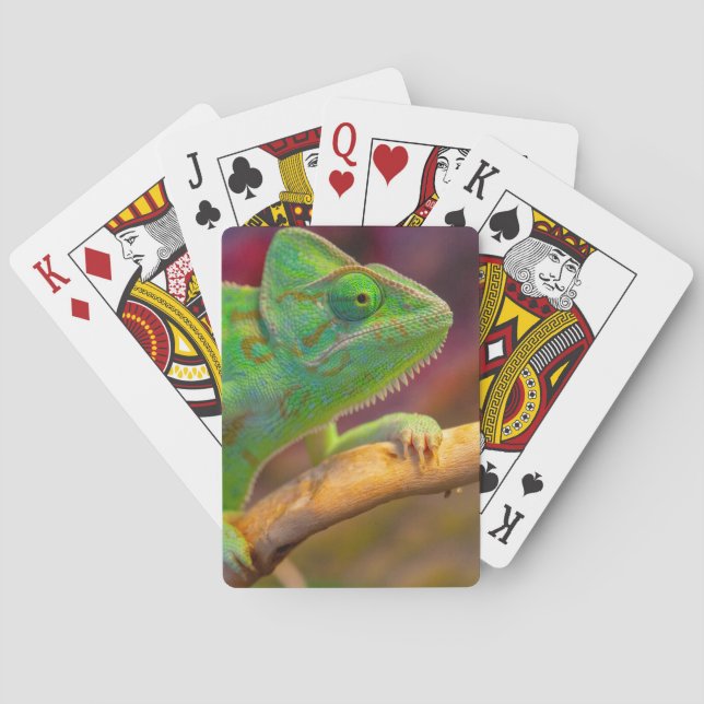 Grünes Chamäleon Spielkarten (Rückseite)