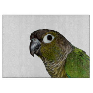 Grünes Cheeked Conure Schneidebrett