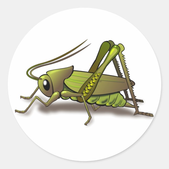 Grünes Cricket-Insekt Runder Aufkleber (Vorderseite)