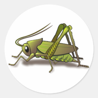Grünes Cricket-Insekt Runder Aufkleber