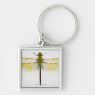 Grünes darner (Anax junius) auf weißem Schlüsselanhänger