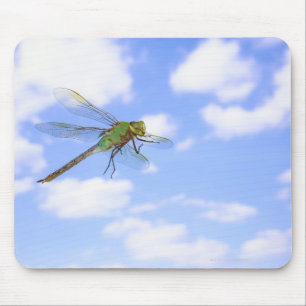 Grünes darner (Anax junius) Fliegen gegen Mousepad