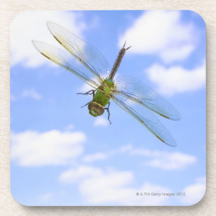 Grünes darner (Anax junius) Fliegen gegen Wolken Untersetzer