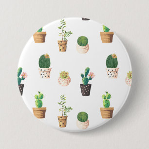 Grünes Dessert Sukkulente Kakteen in Pots Button