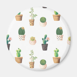 Grünes Dessert Sukkulente Kakteen in Pots Magnet