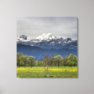 Grünes Feld mit schneebedeckten Alpen Leinwanddruck
