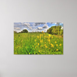 Grünes Feld und bewölkter blauer Himmel Leinwanddruck