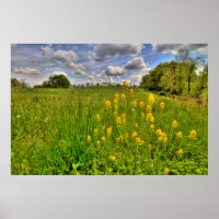 Grünes Feld und bewölkter blauer Himmel