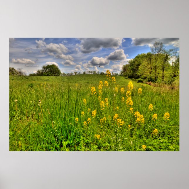 Grünes Feld und bewölkter blauer Himmel Poster (Vorne)