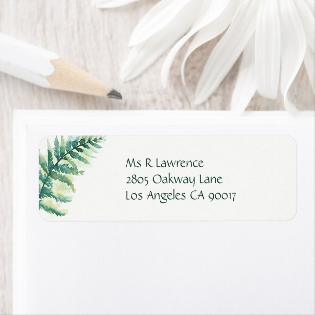 Grünes Fern (Insitu)