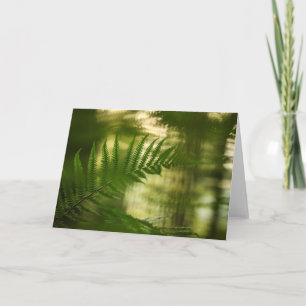 Grünes Fern Frond Nature Foto Karte
