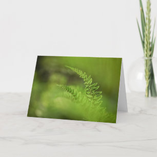 Grünes Foto für die Natur Karte