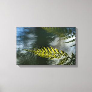 Grünes Foto für die Natur Leinwanddruck