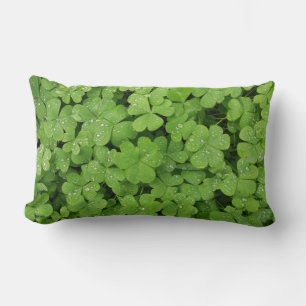 Grünes frisches Kleeblatt, glücklicher St. Patri Lendenkissen