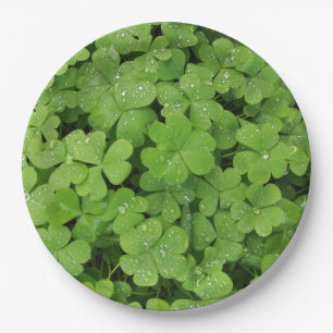 Grünes frisches Kleeblatt, glücklicher St. Patri Pappteller