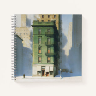 Grünes Gebäude in New York im Winter Notizbuch