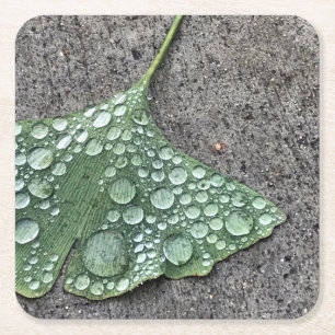 Grünes Ginko-Leaf mit Wassertropfen Rechteckiger Pappuntersetzer