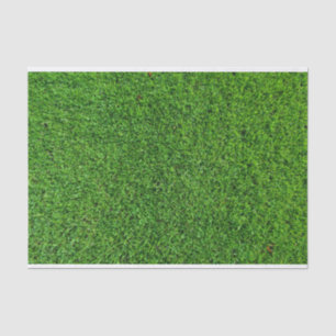 Grünes Gras-Beschaffenheit Seidenpapier
