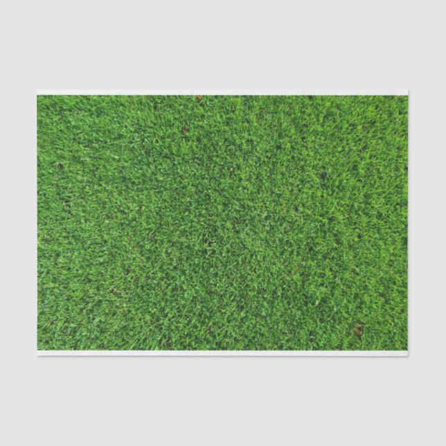 Grünes Gras-Beschaffenheit Seidenpapier (Vorderseite)