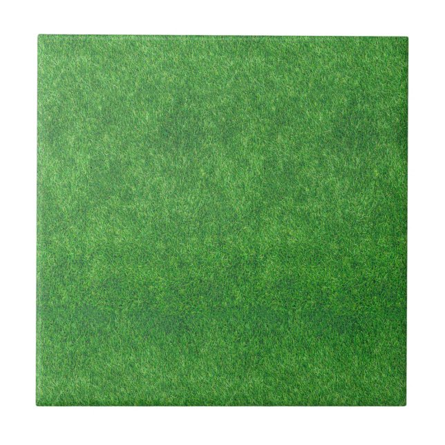 Grünes Gras-Beschaffenheits-abstrakter Hintergrund Fliese (Vorderseite)